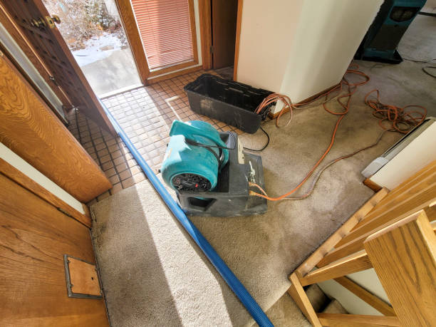 Professional Water damage restoration in Wilson Conococheague, MD